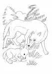 Wolf mit Jungem