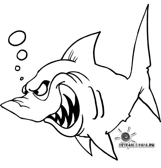 Haie Ausmalbilder Malvorlagen Wassertiere
