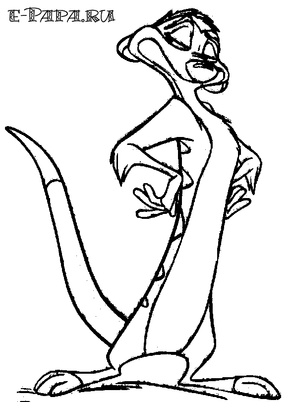 Ausmalbilder für Kinder Timon