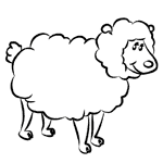 Schaf zeichnen lernen