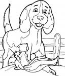 Hund