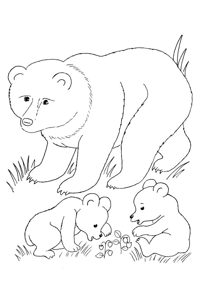 Bär und Jungen Ausmalbilder Tiere