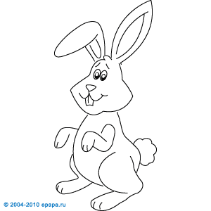 Kaninchen zeichnen lernen Tiere zeichnen lernen. Zeichnen lernen